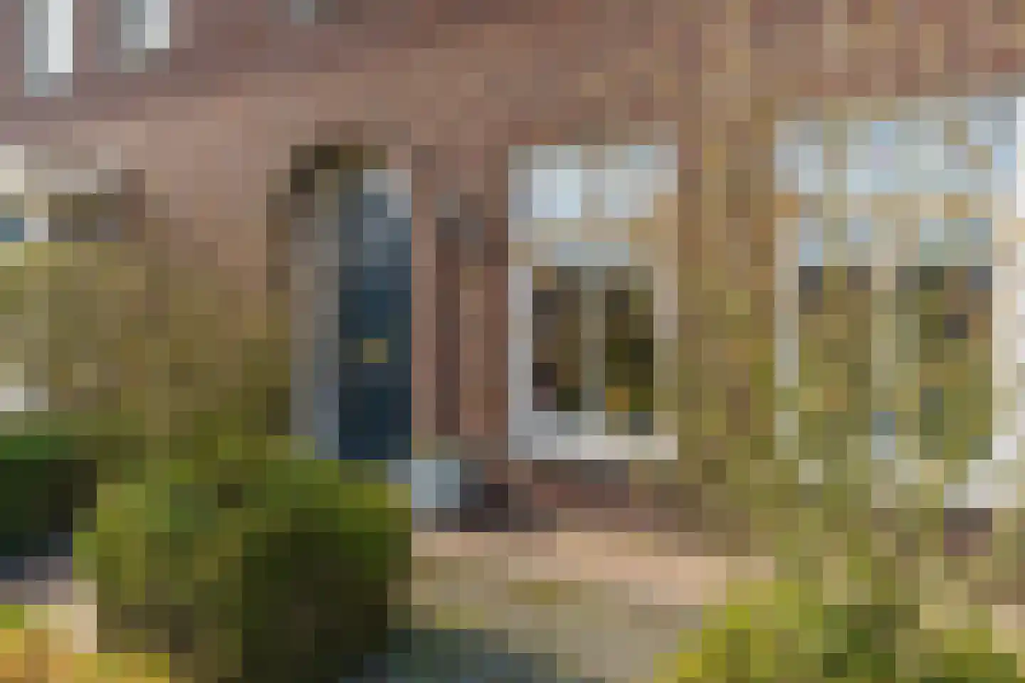 Berkengraaf 35 Bakel foto 3