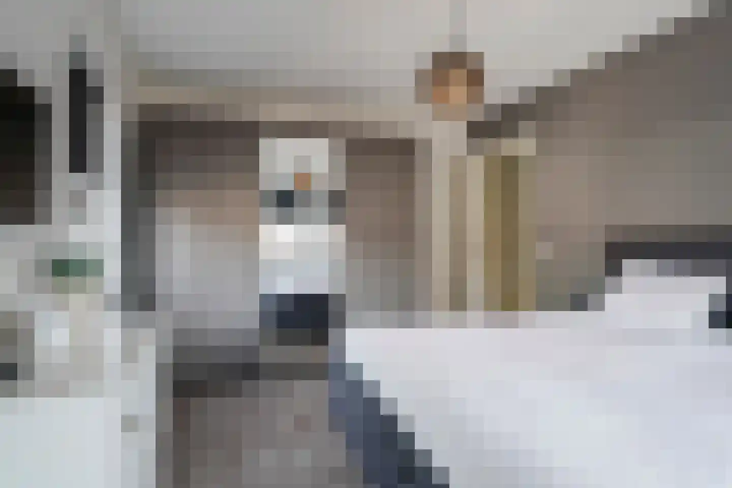 Berkengraaf 35 Bakel thumbnail 30