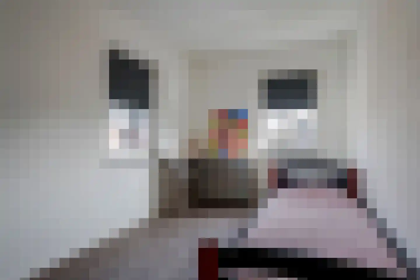 Berkengraaf 35 Bakel thumbnail 32