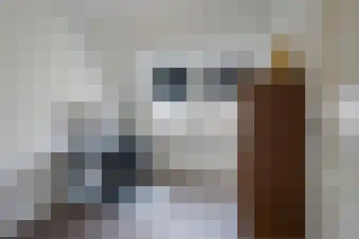 Berkengraaf 35 Bakel thumbnail 34
