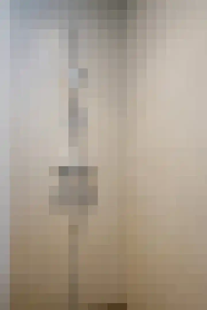 Berkengraaf 35 Bakel thumbnail 41
