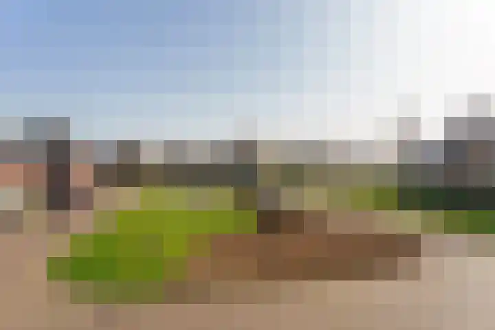 Berkengraaf 35 Bakel thumbnail 43