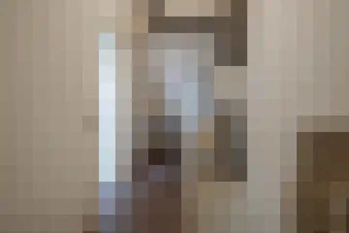 Berkengraaf 35 Bakel thumbnail 45