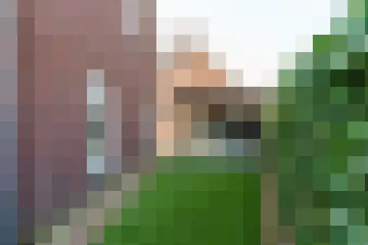 Berkengraaf 35 Bakel thumbnail 50