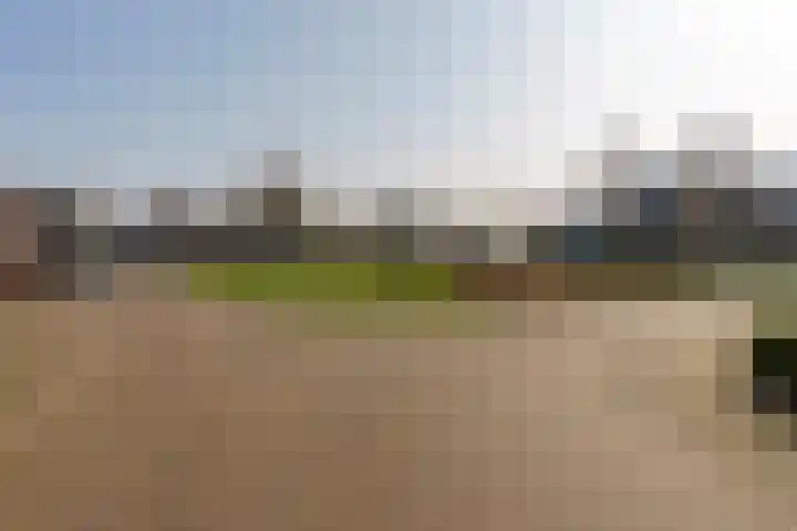 Berkengraaf 35 Bakel thumbnail 57