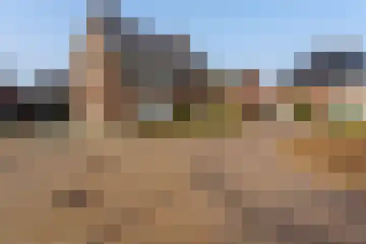 Berkengraaf 35 Bakel thumbnail 59