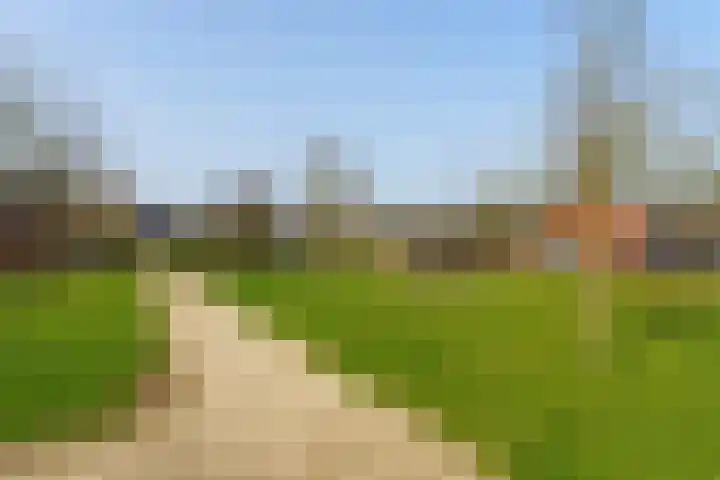 Berkengraaf 35 Bakel thumbnail 60
