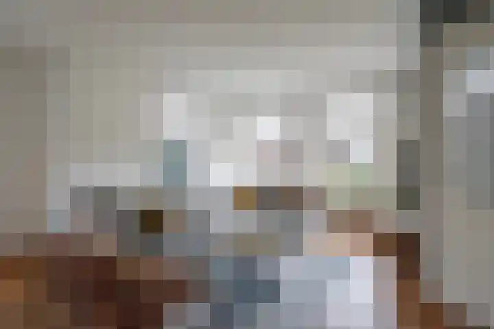 Berkengraaf 35 Bakel thumbnail 8