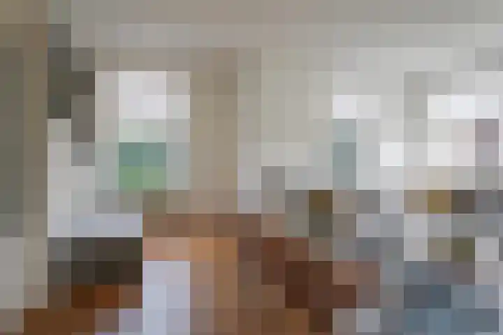 Berkengraaf 35 Bakel thumbnail 9