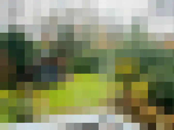 Berkenheuvel 2 Doorn thumbnail 13