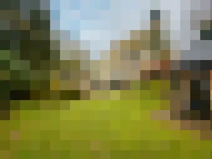 Berkenheuvel 2 Doorn thumbnail 22