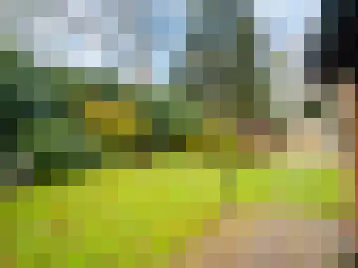 Berkenheuvel 2 Doorn thumbnail 23