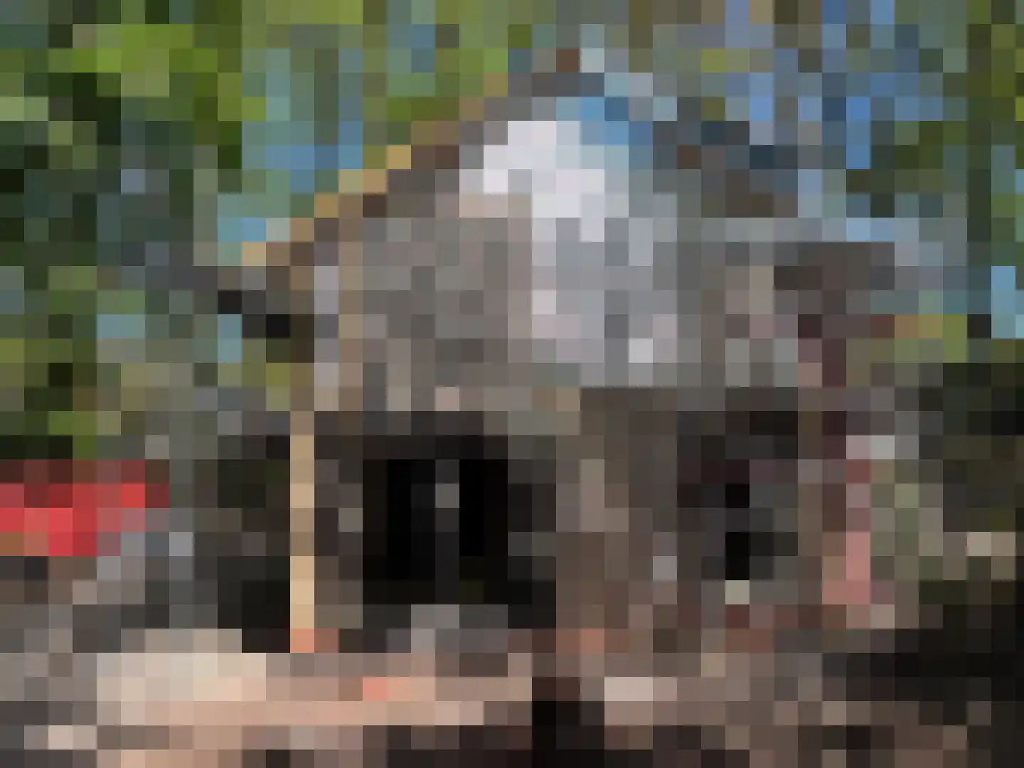 Berkenheuveldreef 11 A Vught thumbnail 10