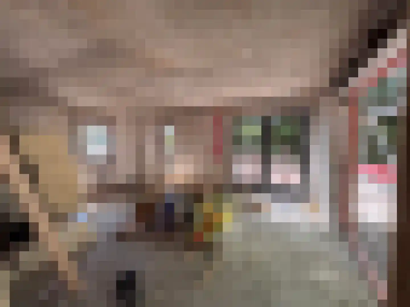 Berkenheuveldreef 11 A Vught thumbnail 15