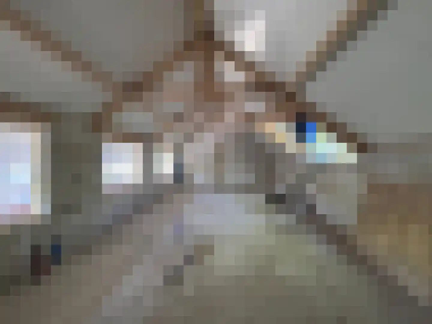 Berkenheuveldreef 11 A Vught thumbnail 16