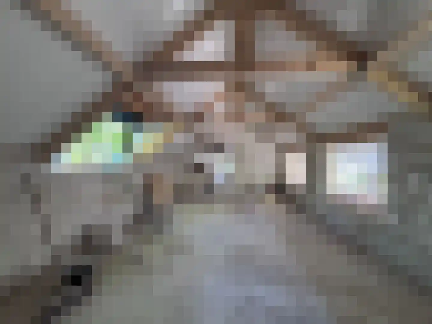 Berkenheuveldreef 11 A Vught thumbnail 18