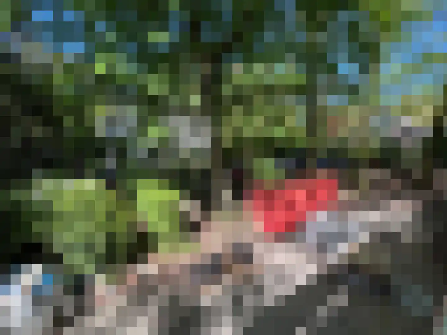 Berkenheuveldreef 11 A Vught thumbnail 23