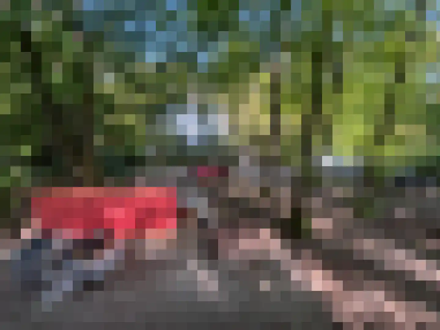 Berkenheuveldreef 11 A Vught thumbnail 24