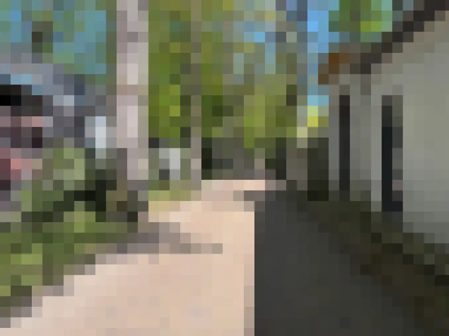 Berkenheuveldreef 11 A Vught thumbnail 26