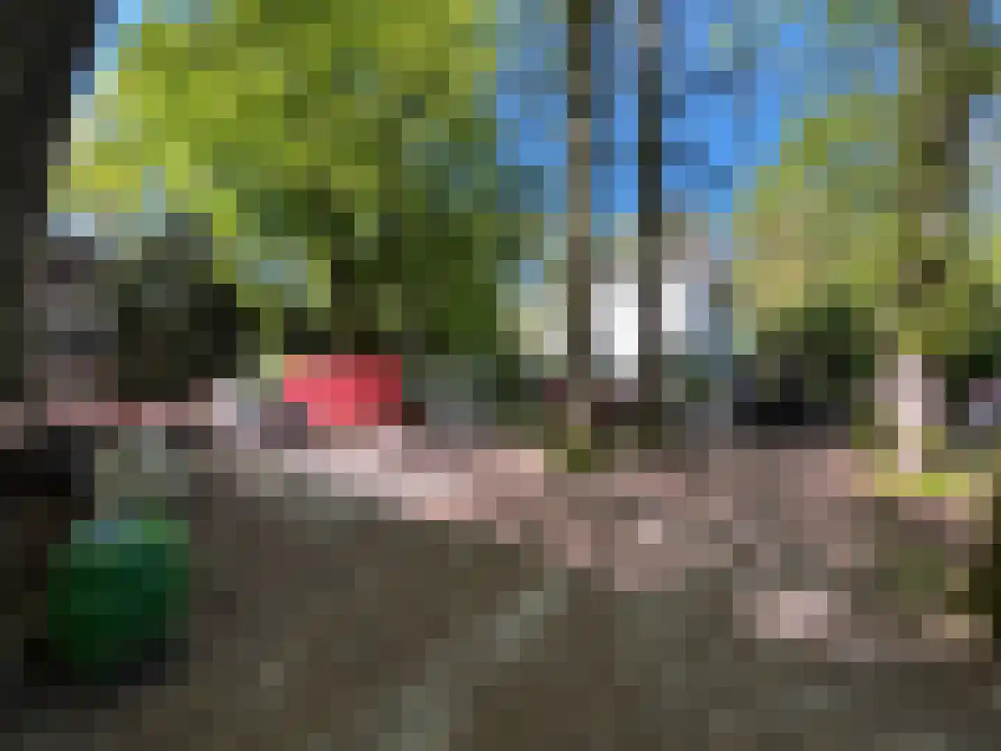Berkenheuveldreef 11 A Vught thumbnail 6
