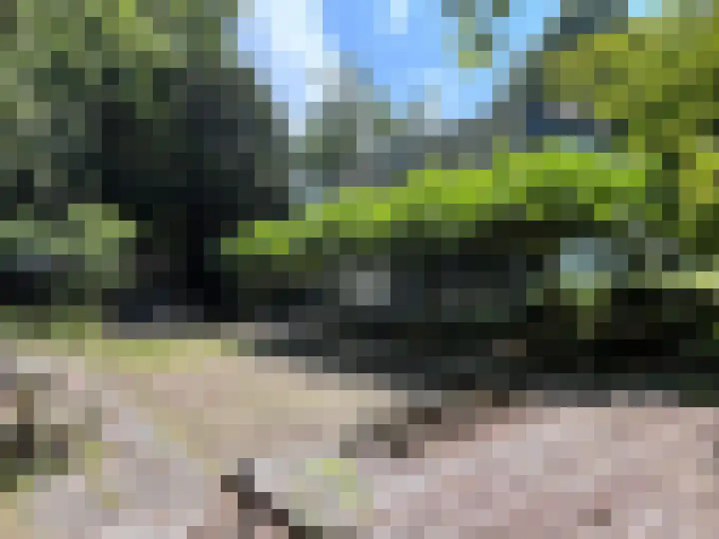 Berkenheuveldreef 11 Vught thumbnail 10