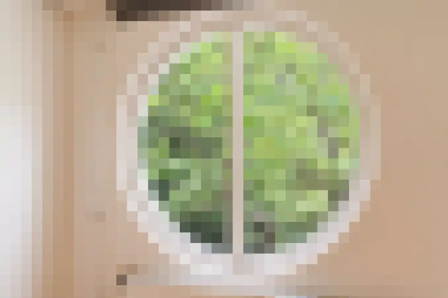 Berkenheuveldreef 11 Vught thumbnail 33