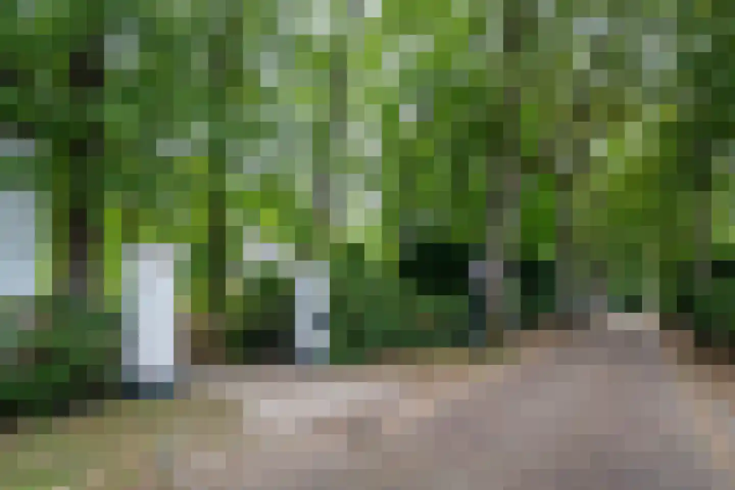 Berkenheuveldreef 11 Vught thumbnail 40