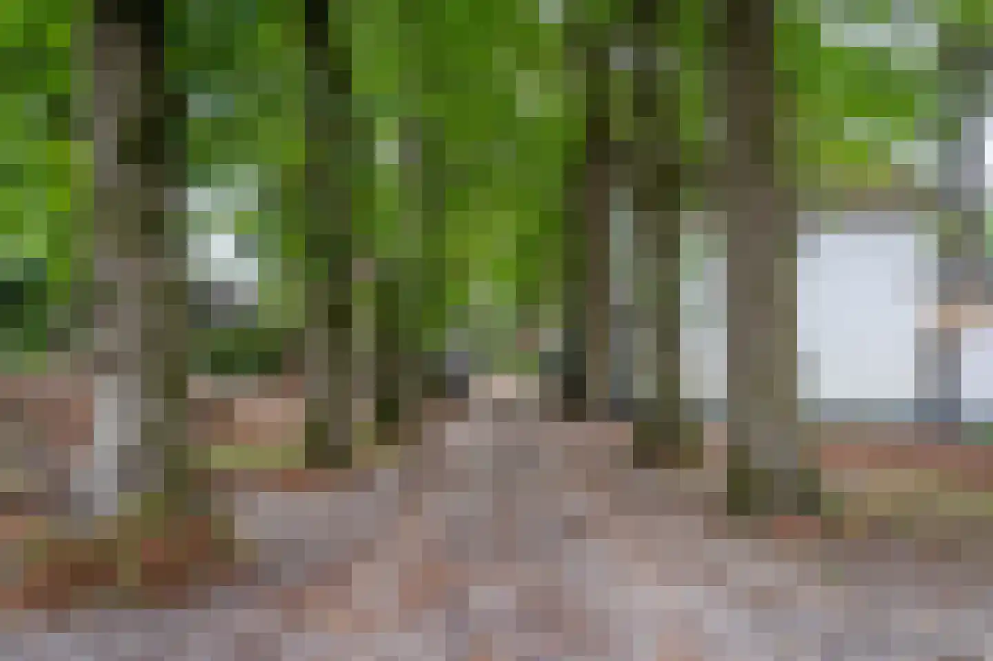 Berkenheuveldreef 11 Vught thumbnail 42