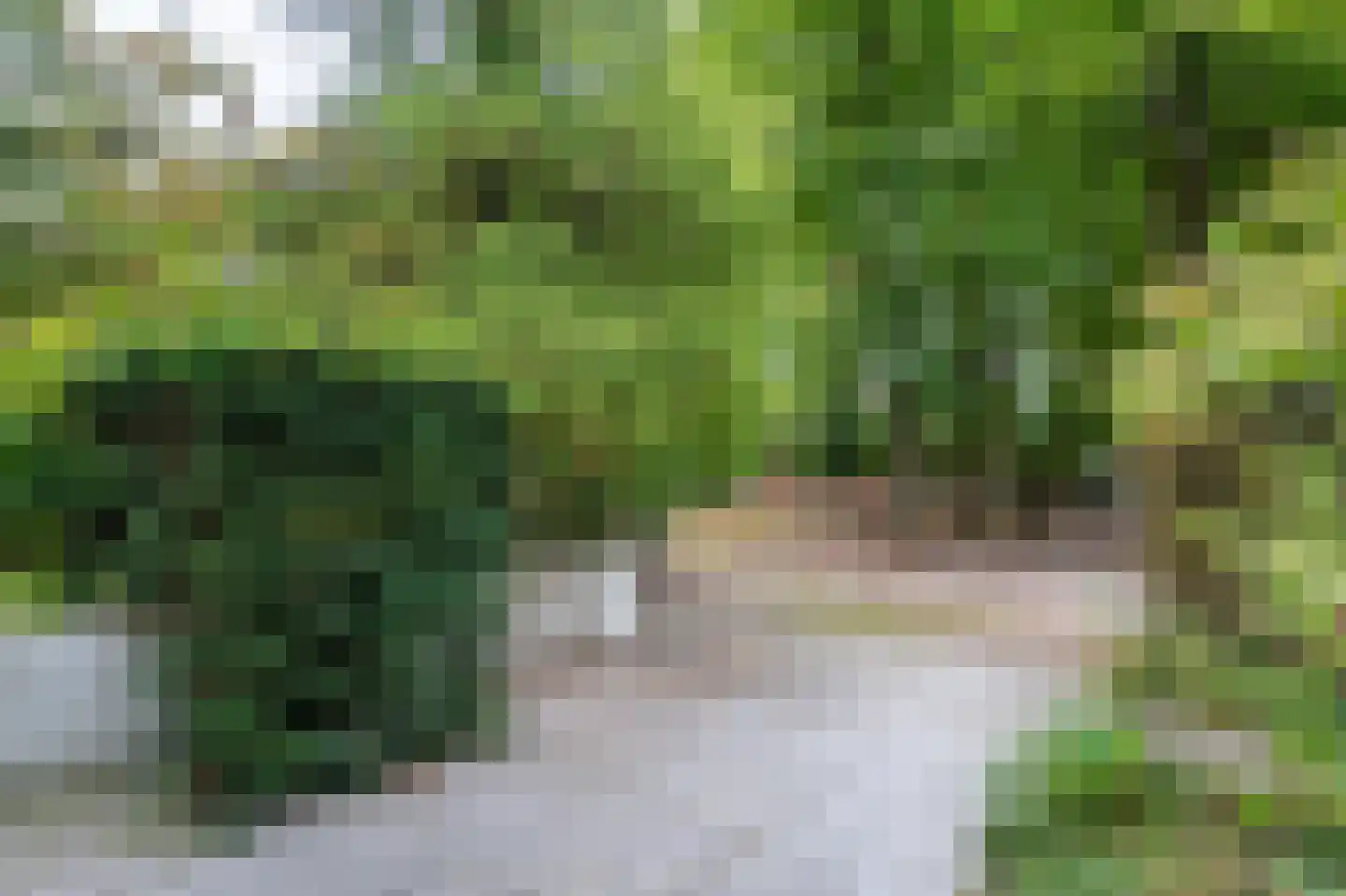 Berkenheuveldreef 11 Vught thumbnail 45