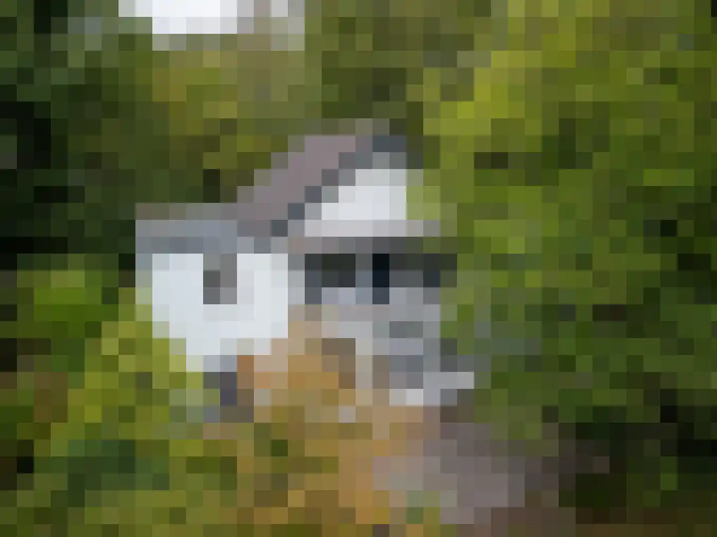 Berkenheuveldreef 11 Vught thumbnail 47