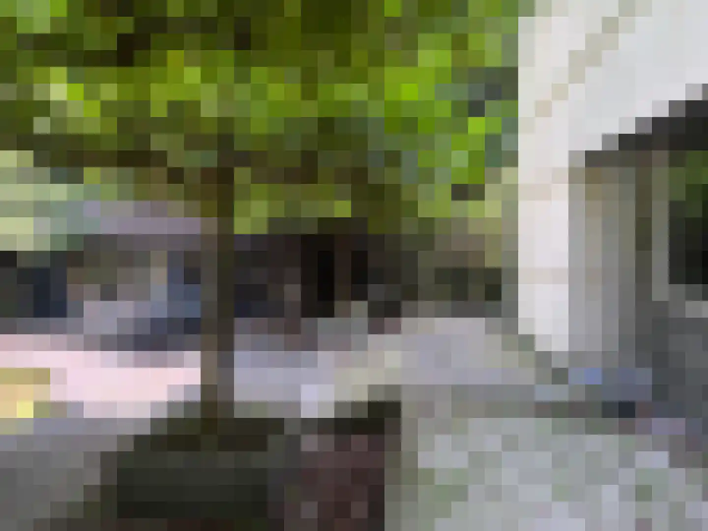 Berkenheuveldreef 11 Vught thumbnail 8