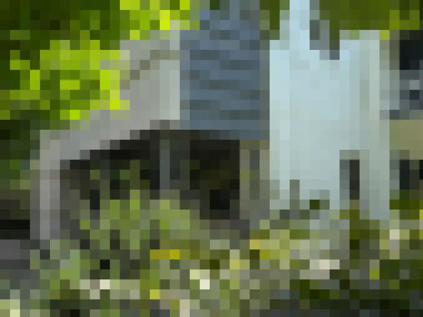 Berkenheuveldreef 11 Vught thumbnail 9