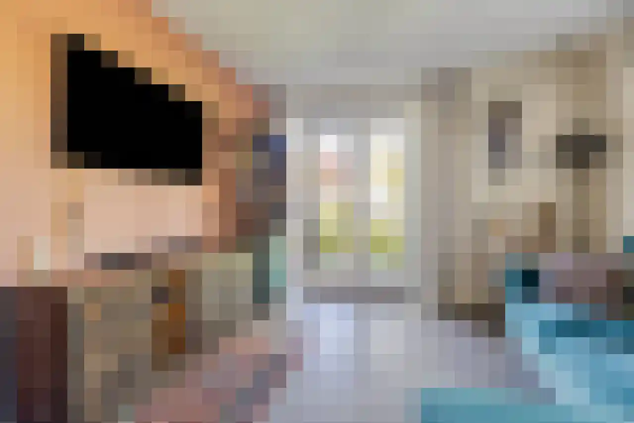 Berkenhof 1 Zoeterwoude thumbnail 12