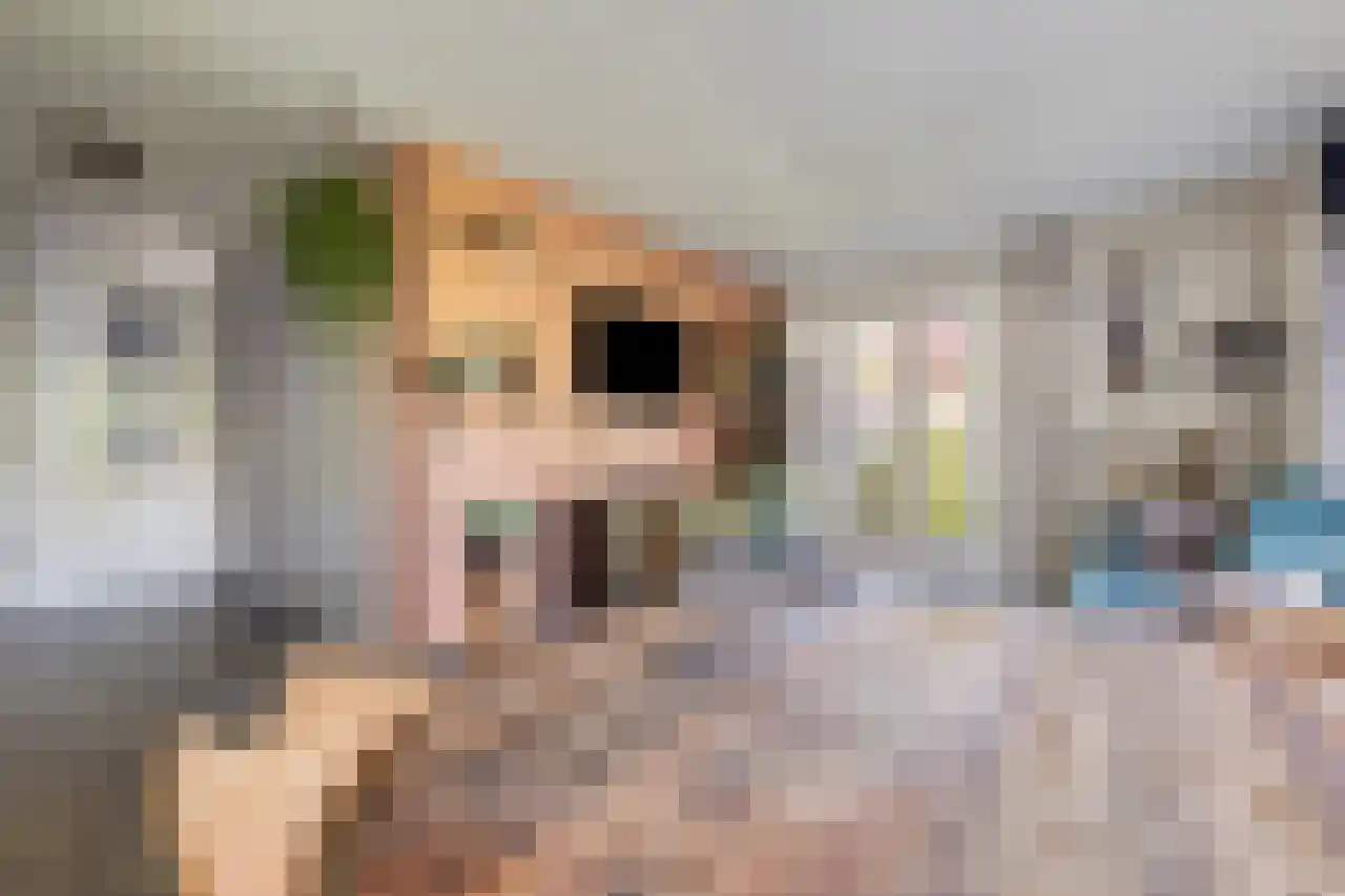 Berkenhof 1 Zoeterwoude thumbnail 14