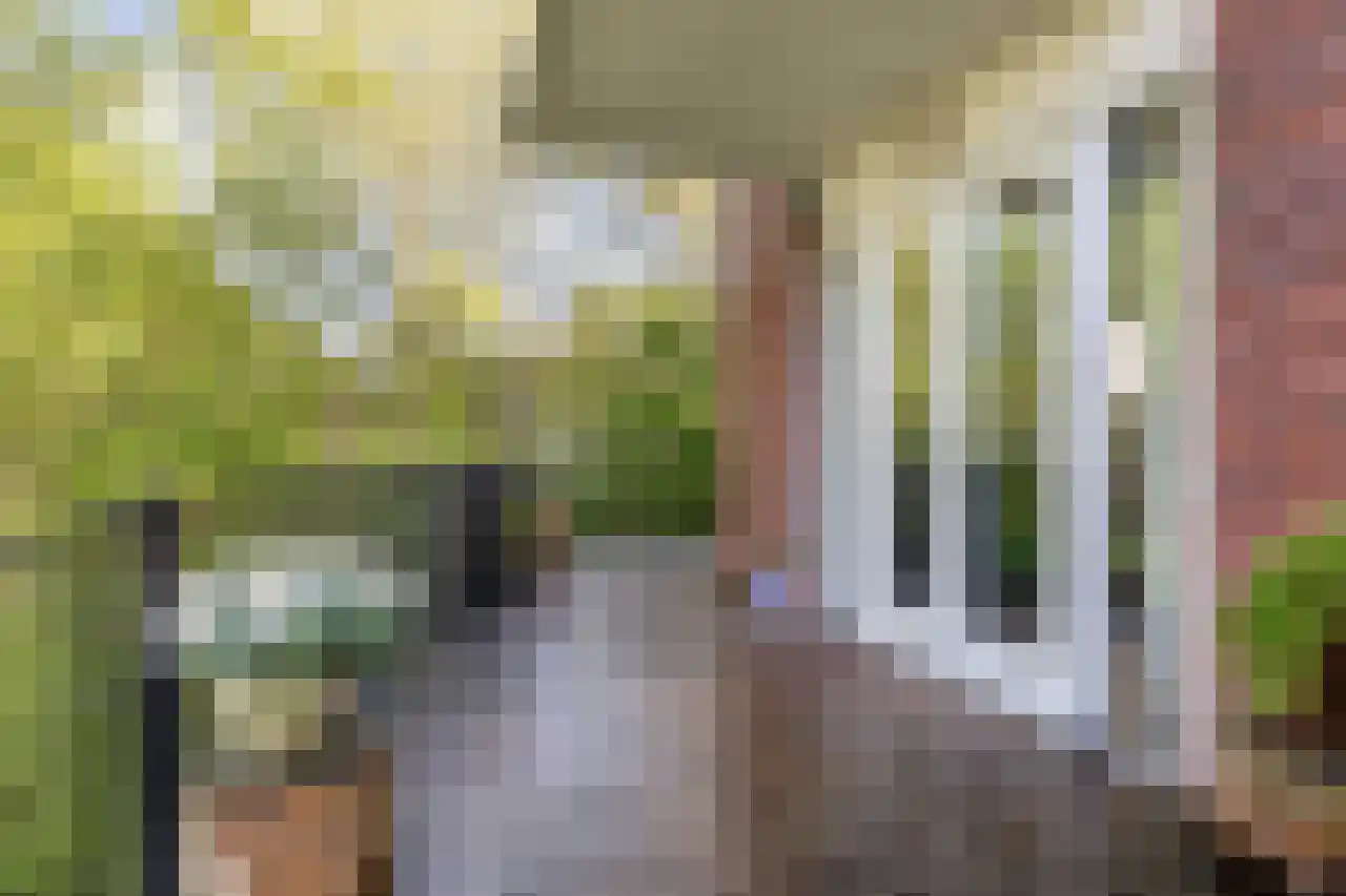 Berkenhof 1 Zoeterwoude thumbnail 19
