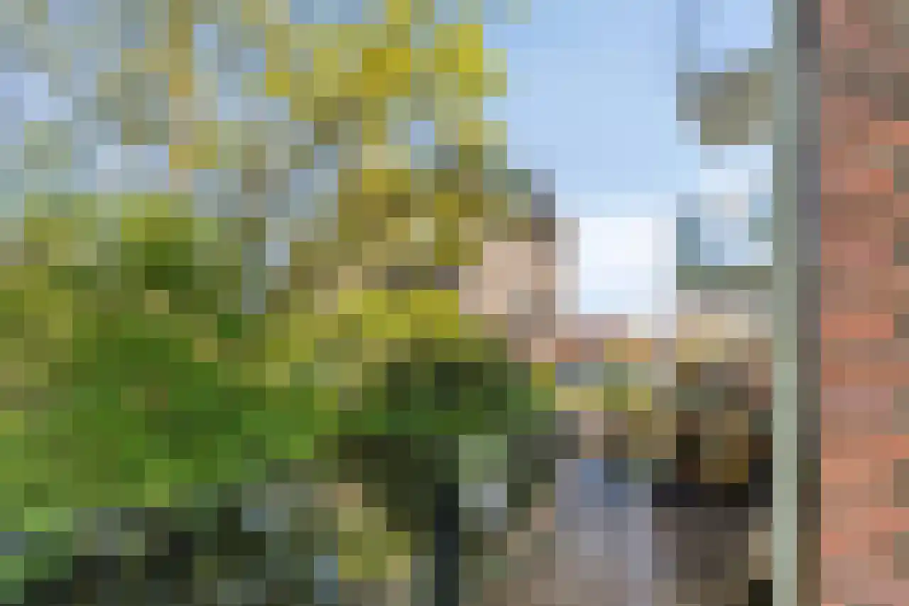 Berkenhof 1 Zoeterwoude thumbnail 21