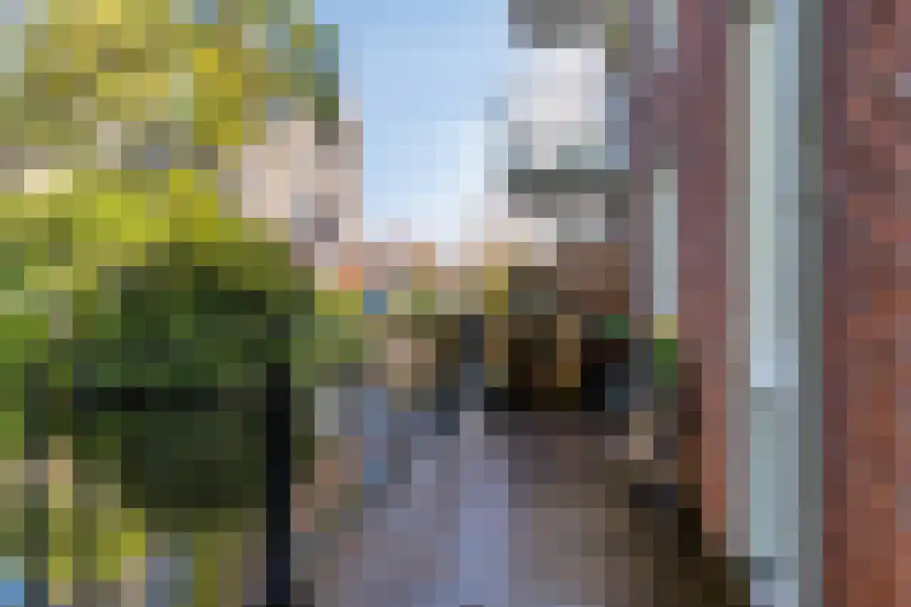 Berkenhof 1 Zoeterwoude thumbnail 22
