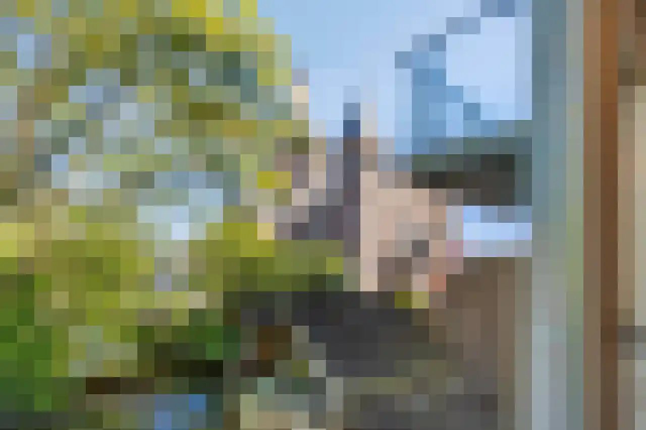Berkenhof 1 Zoeterwoude thumbnail 23