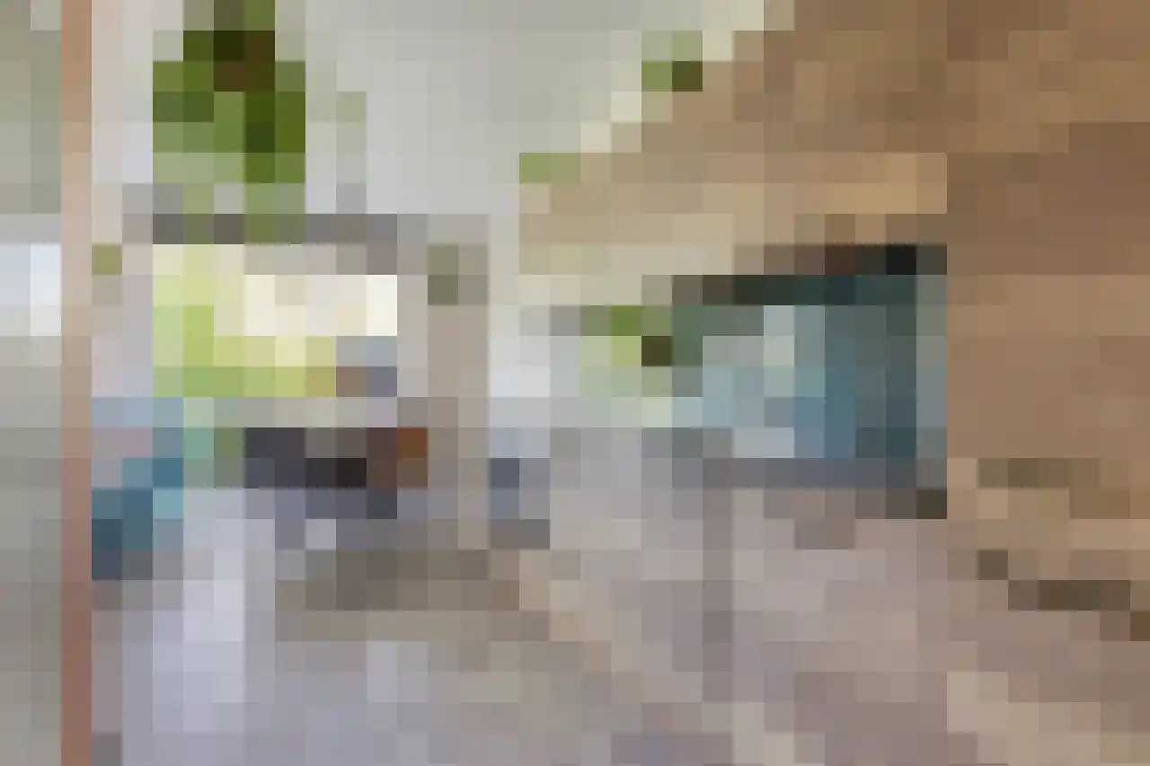 Berkenhof 1 Zoeterwoude thumbnail 7