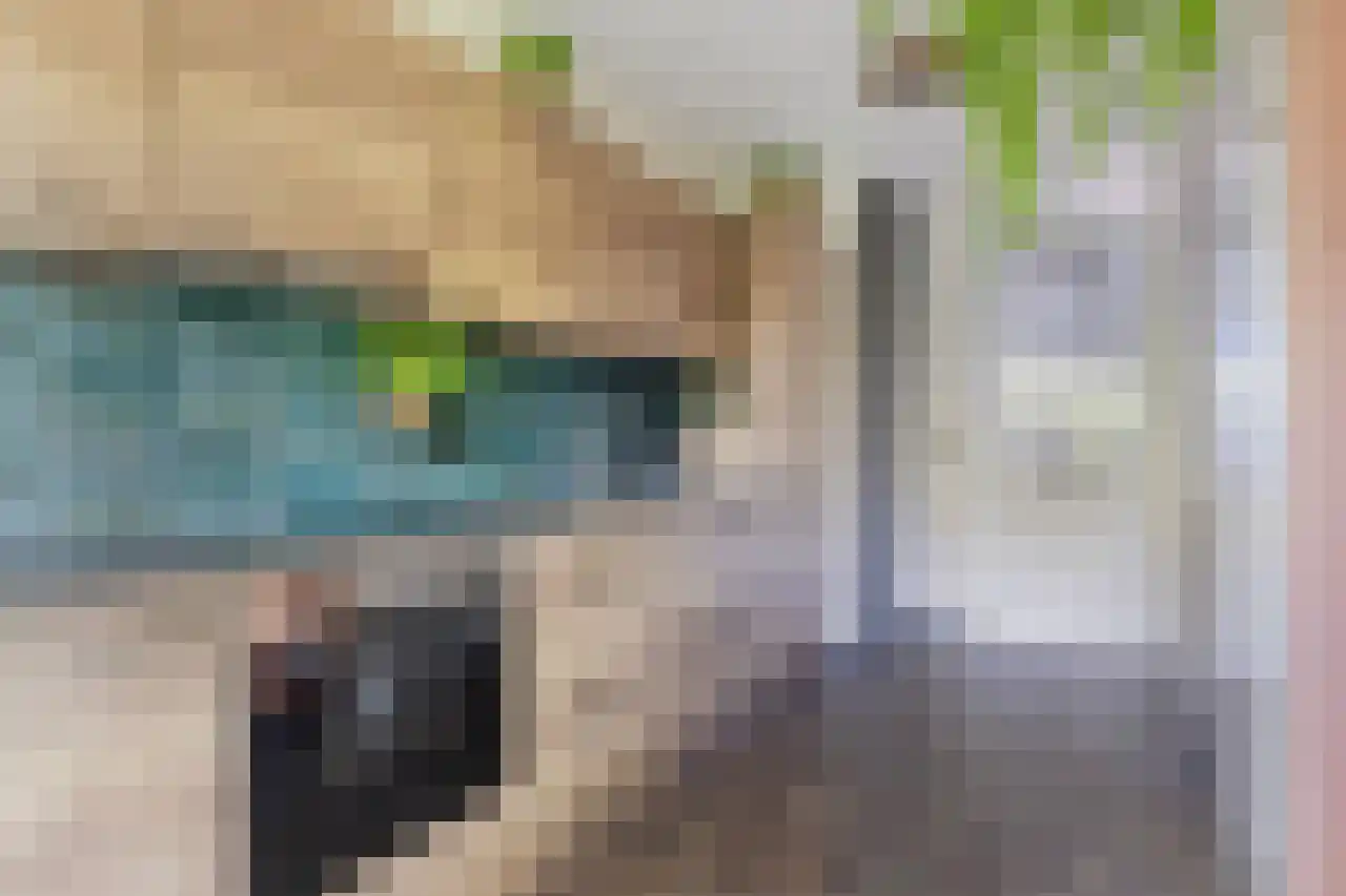 Berkenhof 1 Zoeterwoude thumbnail 8