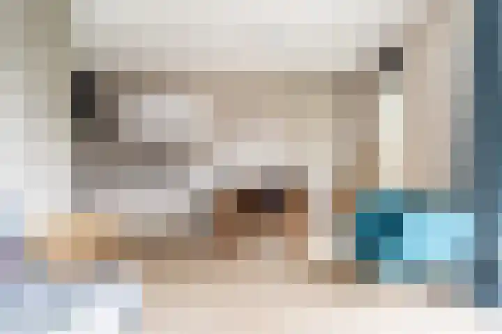 Berkenhof 11 Zoeterwoude thumbnail 10