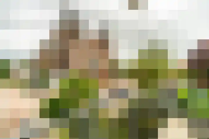 Berkenhof 11 Zoeterwoude thumbnail 12