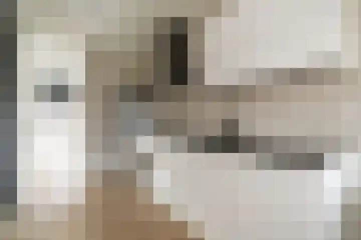 Berkenhof 11 Zoeterwoude thumbnail 15