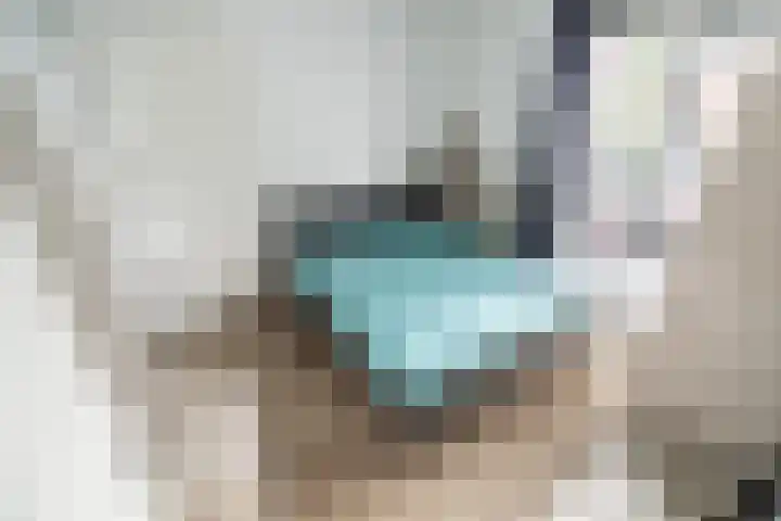 Berkenhof 11 Zoeterwoude thumbnail 17