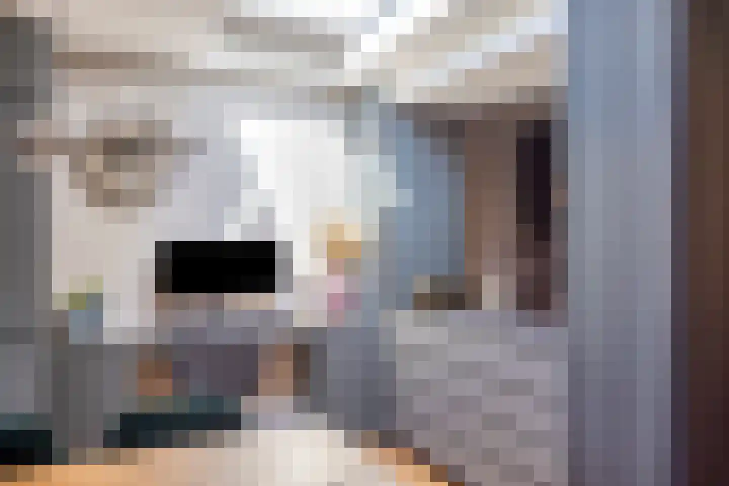 Berkenhof 12 Grashoek thumbnail 28