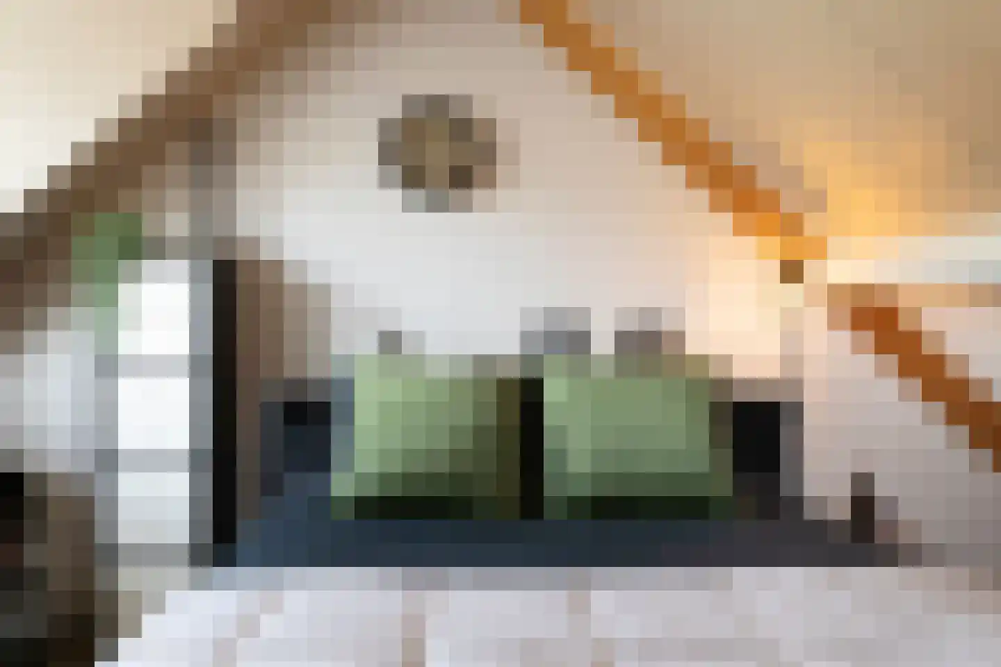 Berkenhof 12 Grashoek thumbnail 43