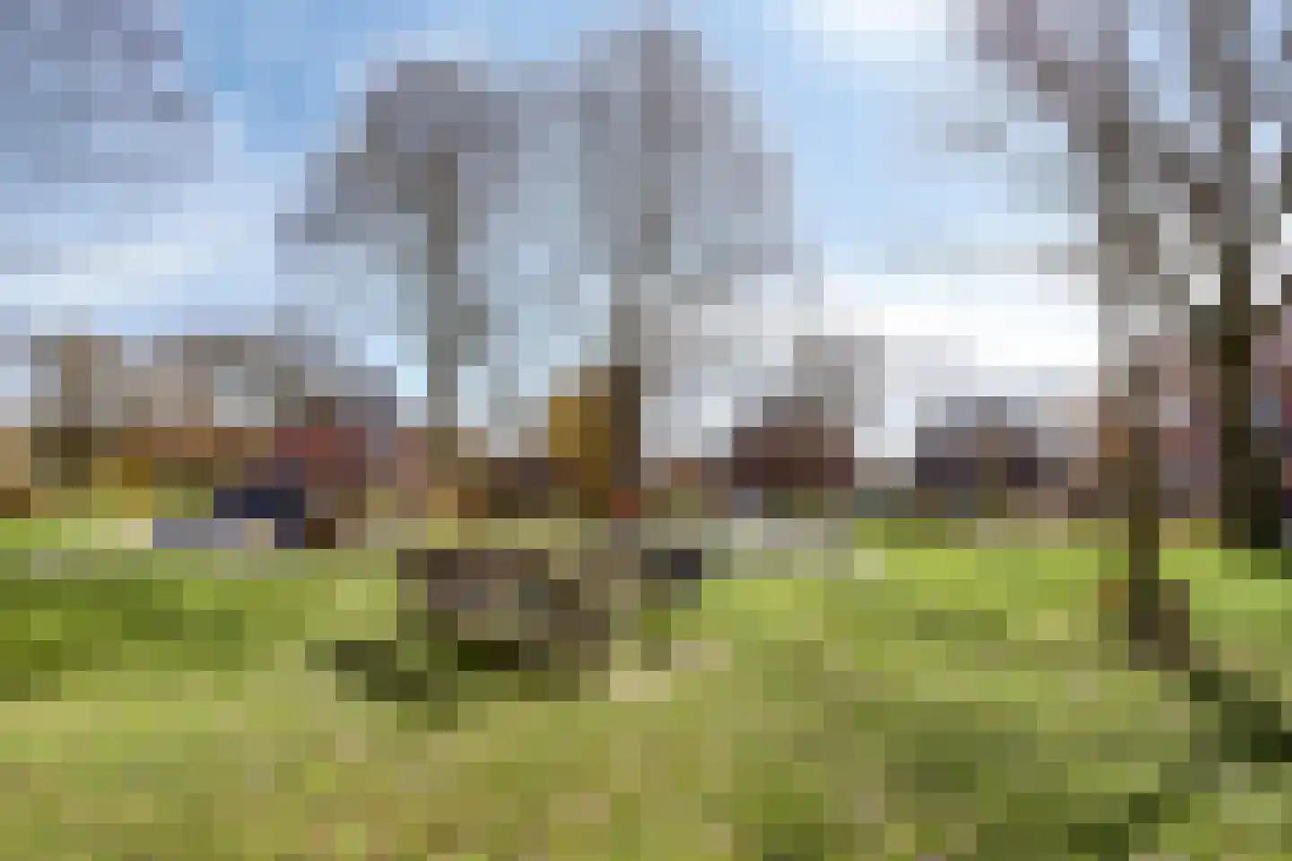 Berkenhof 12 Grashoek thumbnail 54