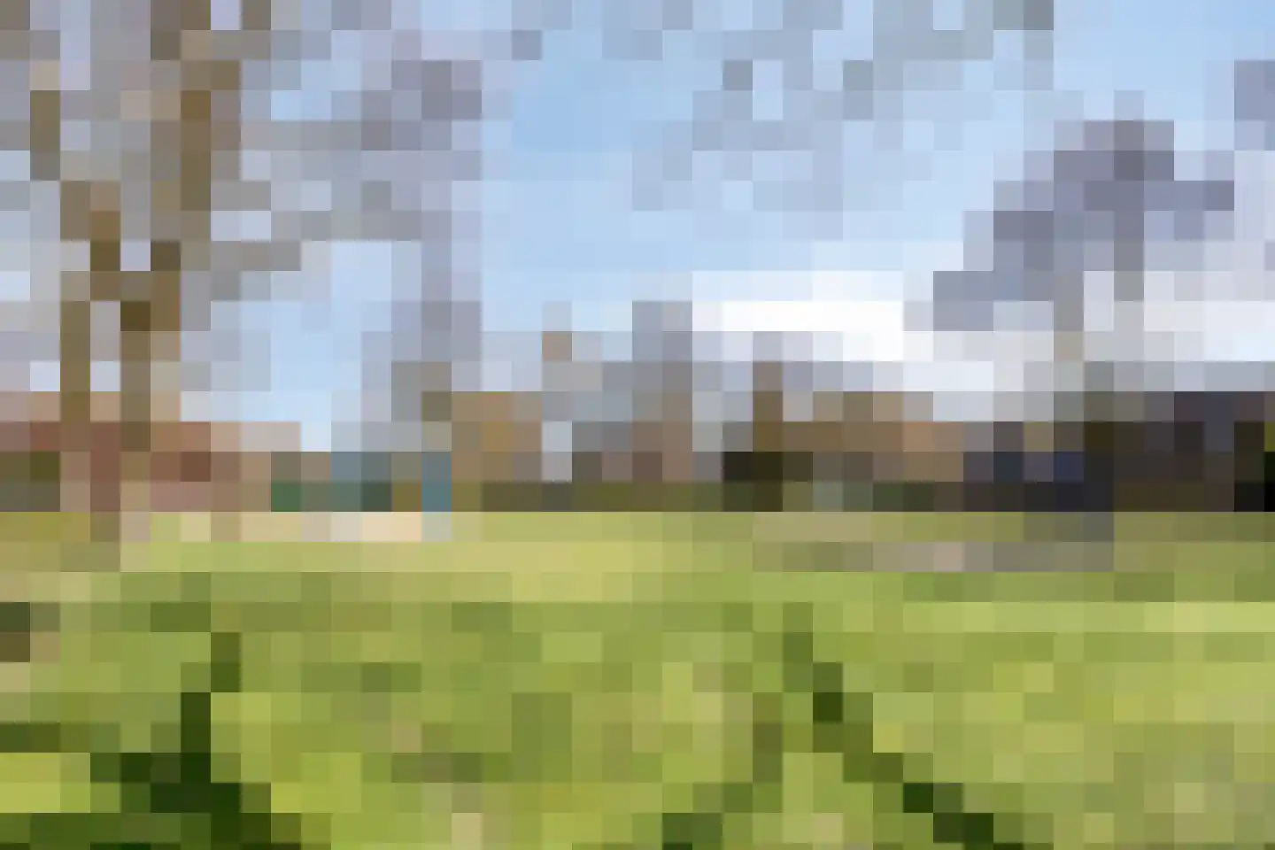 Berkenhof 12 Grashoek thumbnail 55