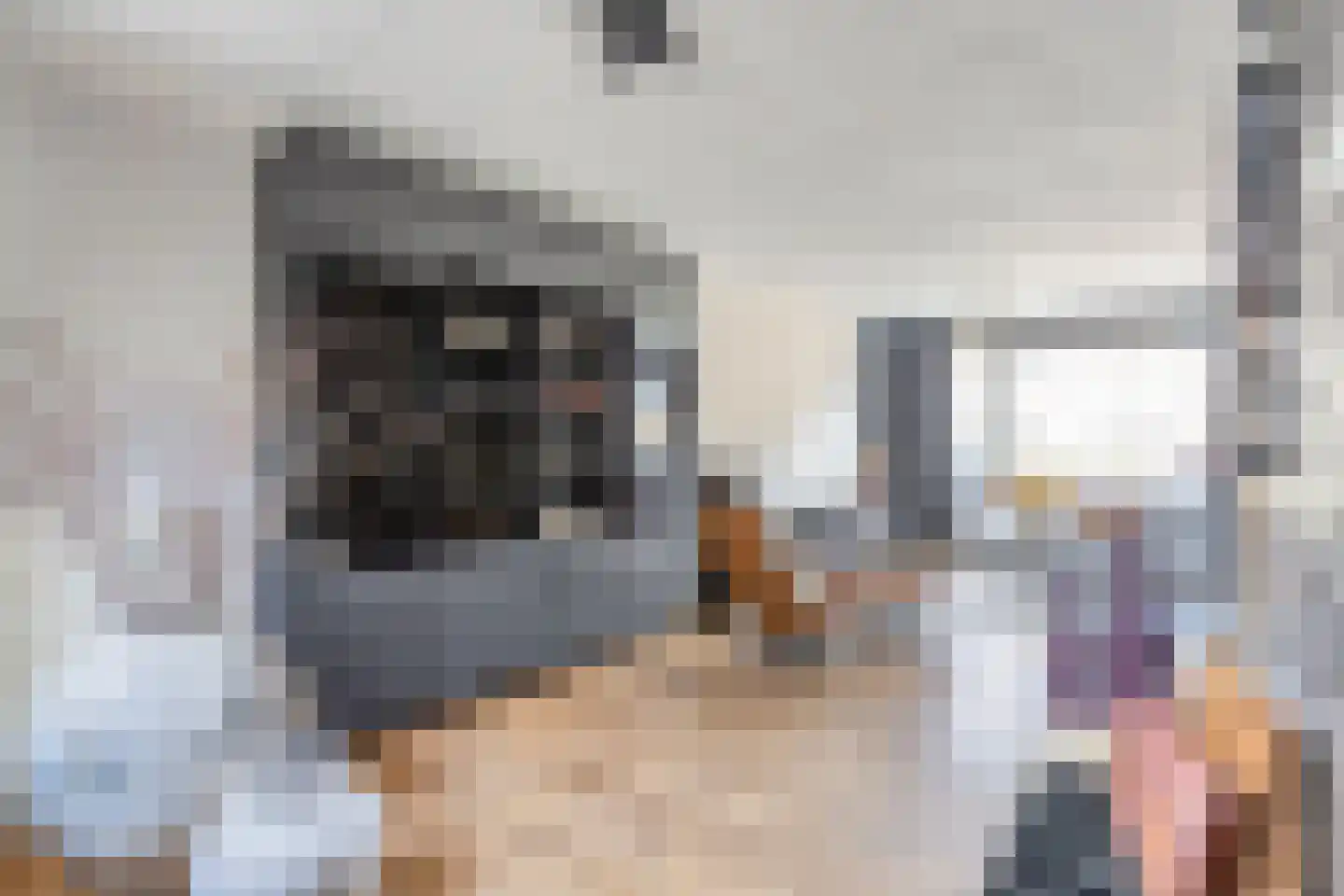 Berkenhof 12 Grashoek thumbnail 8