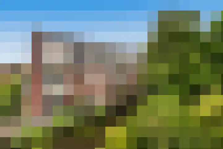 Berkenhof 15 in Zoeterwoude